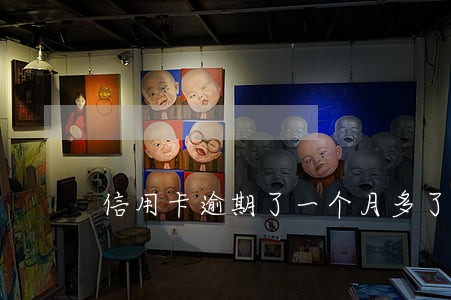 信用卡逾期了一个月多了 信用卡逾期了一个月多了
