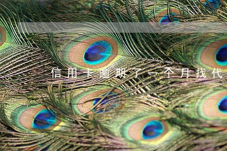 信用卡逾期了一个月找代还