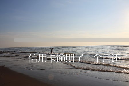 信用卡逾期了一个月还一点一年还清可以吗 信用卡逾期了一个月还一点一年还清可以吗