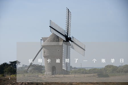 信用卡逾期了一个账单日怎么办 信用卡逾期了一个账单日怎么办
