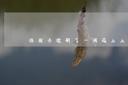 信用卡逾期了一周还上上征信吗 信用卡逾期了一周还上上征信吗