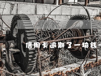 信用卡逾期了一块钱一年