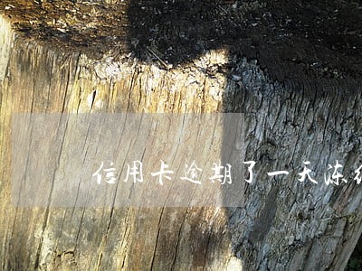 信用卡逾期了一天冻结了