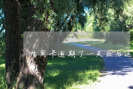 信用卡逾期了一天然后还了最低