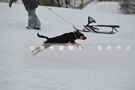 信用卡逾期了一天还不上 信用卡逾期了一天还不上