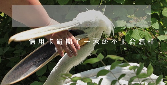 信用卡逾期了一天还不上会怎样 信用卡逾期了一天还不上会怎样