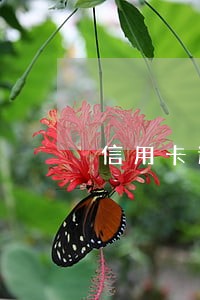 信用卡逾期了一年名下车子 信用卡逾期了一年名下车子