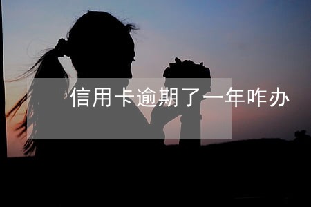 信用卡逾期了一年咋办 信用卡逾期了一年咋办