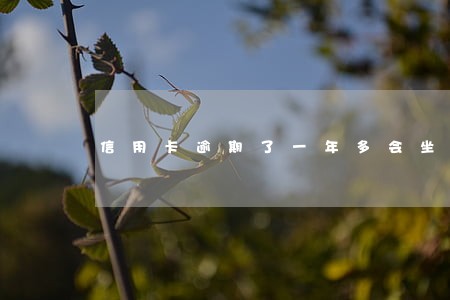 信用卡逾期了一年多会坐牢吗 信用卡逾期了一年多会坐牢吗