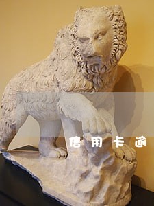 信用卡逾期了一年怎么处理 信用卡逾期了一年怎么处理