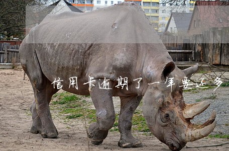 信用卡逾期了一年要还多少钱 信用卡逾期了一年要还多少钱