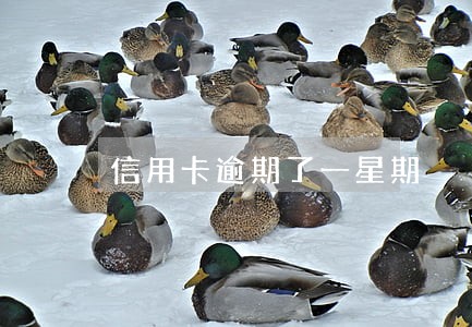 信用卡逾期了一星期 信用卡逾期了一星期