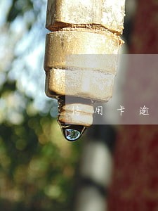 信用卡逾期了一星期还款 信用卡逾期了一星期还款