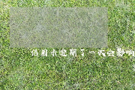 信用卡逾期了一次会影响房贷吗