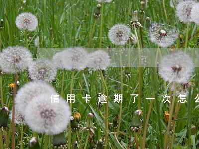 信用卡逾期了一次怎么恢复征信 信用卡逾期了一次怎么恢复征信