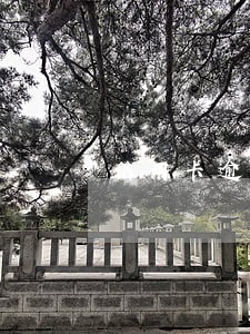信用卡逾期了一次房贷有影响 信用卡逾期了一次房贷有影响