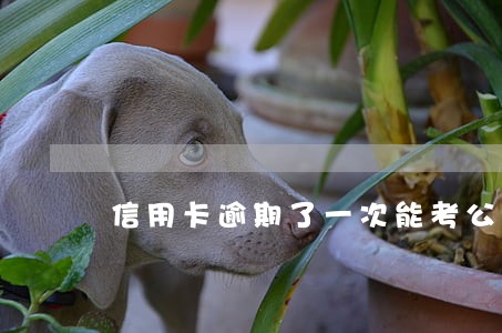 信用卡逾期了一次能考公检法吗 信用卡逾期了一次能考公检法吗