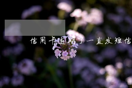 信用卡逾期了一直发短信说要起诉 信用卡逾期了一直发短信说要起诉