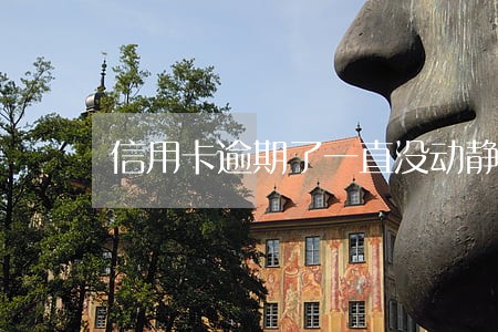 信用卡逾期了一直没动静 信用卡逾期了一直没动静