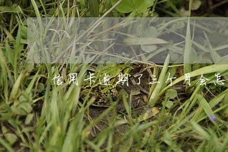 信用卡逾期了三个月会怎么样 信用卡逾期了三个月会怎么样