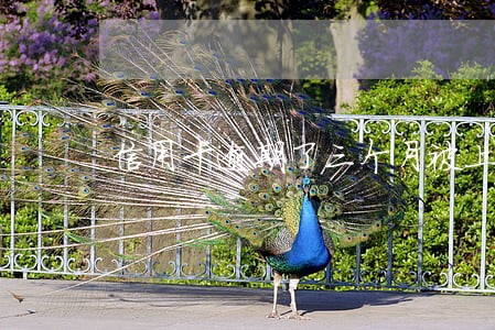 信用卡逾期了三个月被上门 信用卡逾期了三个月被上门