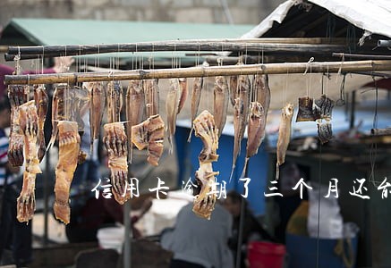 信用卡逾期了三个月还能用么