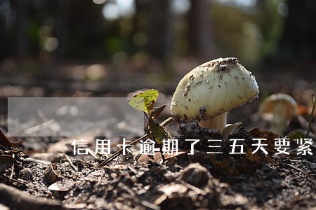 信用卡逾期了三五天要紧吗 信用卡逾期了三五天要紧吗