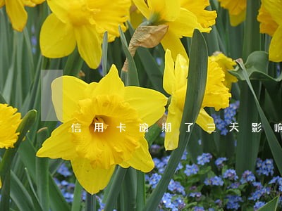 信用卡逾期了三天影响房贷吗 信用卡逾期了三天影响房贷吗