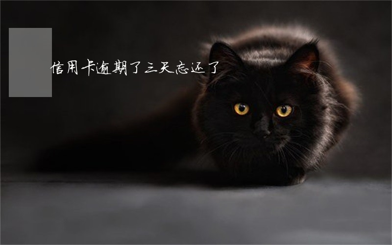 信用卡逾期了三天忘还了 信用卡逾期了三天忘还了