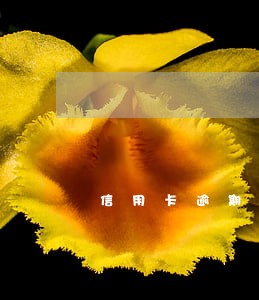 信用卡逾期了三年可以协商吗 信用卡逾期了三年可以协商吗