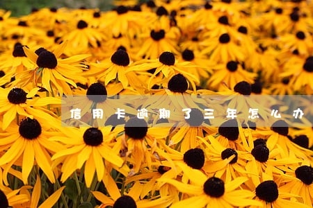 信用卡逾期了三年怎么办理 信用卡逾期了三年怎么办理