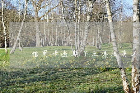 信用卡逾期了三年没有还会怎样
