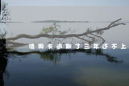 信用卡逾期了三年还不上怎么办