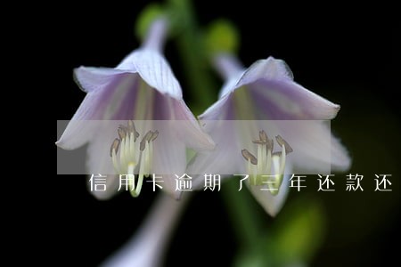 信用卡逾期了三年还款还能用吗 信用卡逾期了三年还款还能用吗