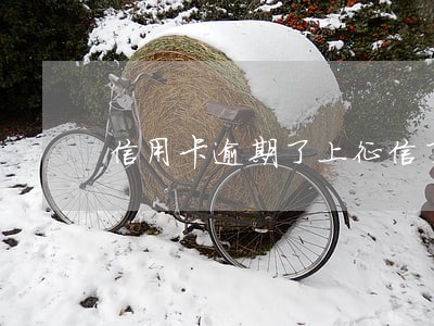信用卡逾期了上征信了咋办 信用卡逾期了上征信了咋办