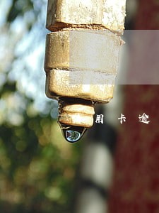 信用卡逾期了上征信咋办