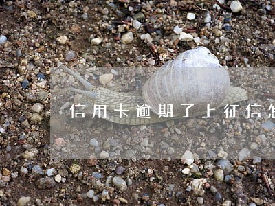 信用卡逾期了上征信怎么办