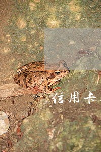 信用卡逾期了上门协商还不上 信用卡逾期了上门协商还不上