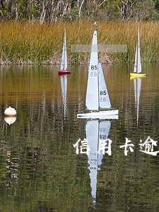信用卡逾期了上门吗