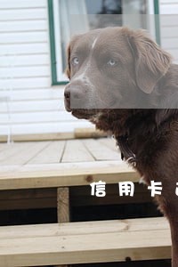信用卡逾期了下传单了该怎么办 信用卡逾期了下传单了该怎么办