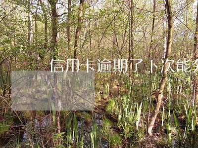 信用卡逾期了下次能分期吗 信用卡逾期了下次能分期吗