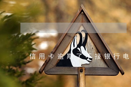 信用卡逾期了不接银行电话可以吗