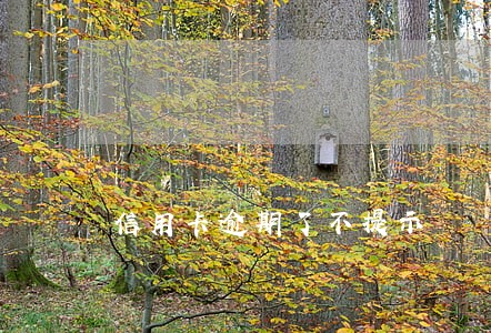 信用卡逾期了不提示 信用卡逾期了不提示