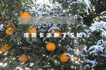 信用卡逾期了不知