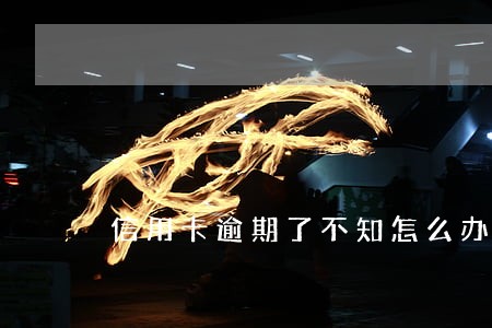信用卡逾期了不知怎么办 信用卡逾期了不知怎么办