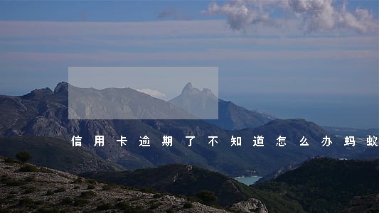 信用卡逾期了不知道怎么办蚂蚁 信用卡逾期了不知道怎么办蚂蚁