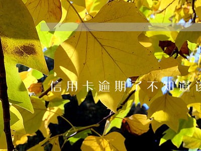 信用卡逾期了不知道该怎么办 信用卡逾期了不知道该怎么办