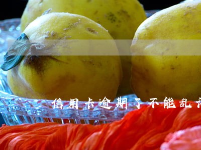 信用卡逾期了不能乱讲 信用卡逾期了不能乱讲