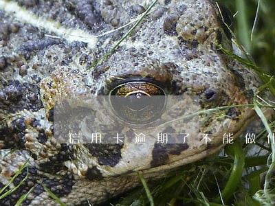 信用卡逾期了不能做什么 信用卡逾期了不能做什么