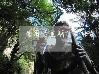 信用卡逾期了不能做分期吗 信用卡逾期了不能做分期吗